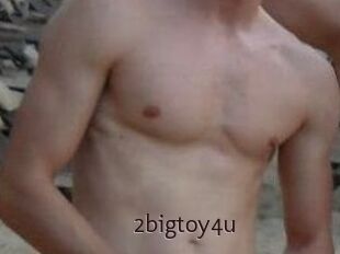 2bigtoy4u