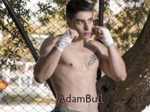 AdamBull