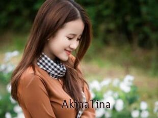 AkinaTina