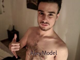 AleyModel