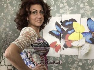 Alisacat