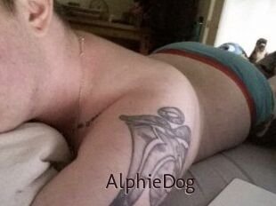 Alphie_Dog