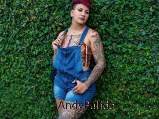 AndyPulido