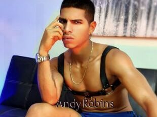 AndyRobins