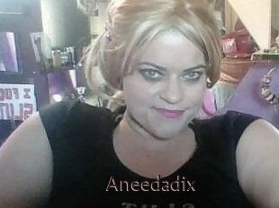 Aneedadix