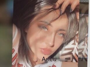 Aneu