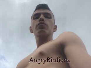 AngryBirdions