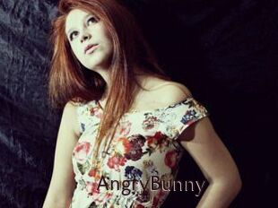 AngryBunny
