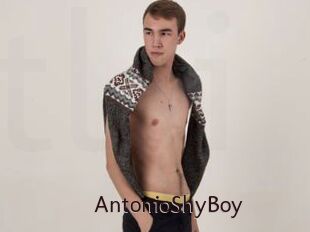 AntonioShyBoy