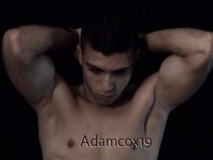 Adamcox19