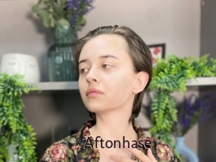 Aftonhase