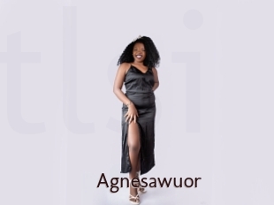 Agnesawuor