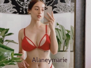 Alaneymarie