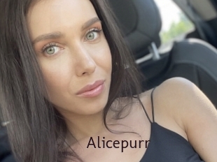 Alicepurr