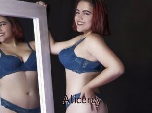 Alicerey