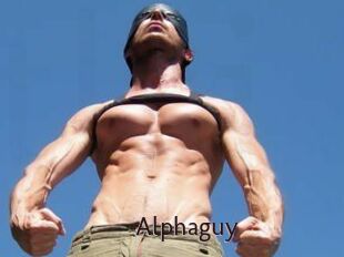 Alphaguy