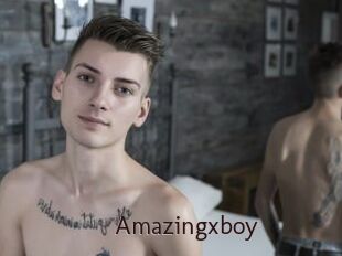 Amazingxboy