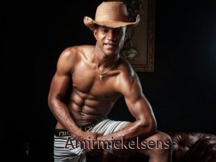 Amirmickelsens
