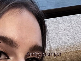 Amitybrunger