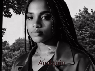 Analquin
