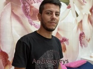 Andresgreys