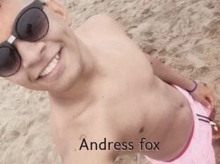Andress_fox