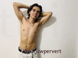 Andruwpervert