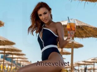 Aneevelvet
