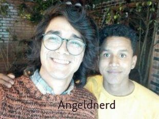 Angeldnerd