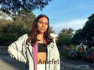 Aniefelix