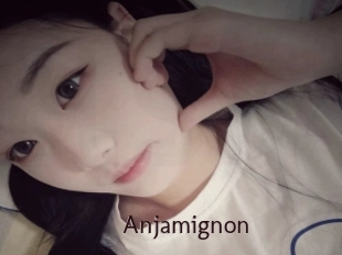 Anjamignon