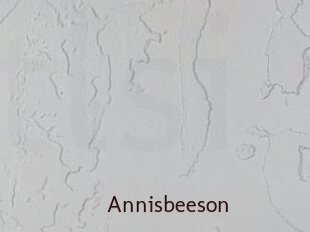 Annisbeeson