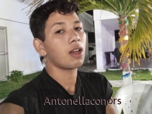 Antonellaconors