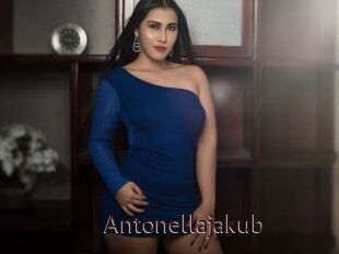 Antonellajakub