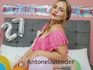 Antonellatender