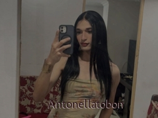 Antonellatobon