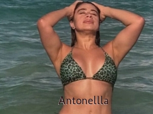 Antonellla