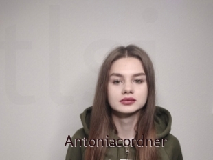 Antoniacordner