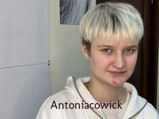 Antoniacowick