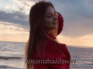 Antoniahaddaway