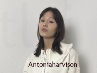 Antoniaharvison