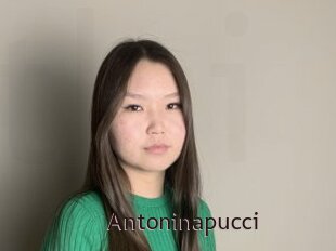 Antoninapucci