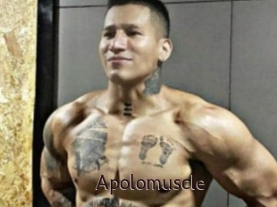 Apolomuscle