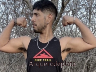 Arquerodeplata