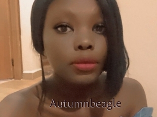 autumnbeagle Top listen server