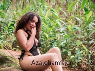 Azalehamiller