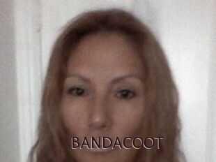 BANDACOOT
