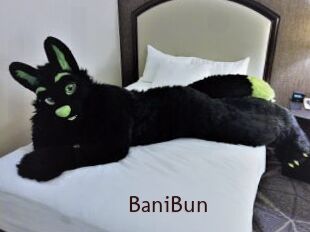 BaniBun