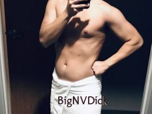 BigNVDick