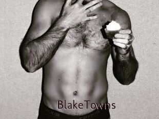BlakeTowns